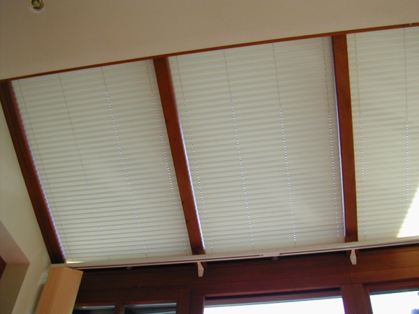 dscn9795.jpg