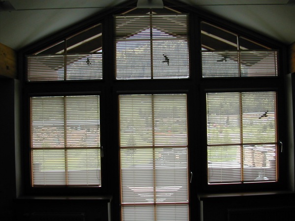 dscn9509.jpg